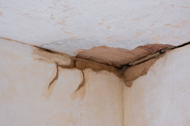 Best Flood restoration services  in Newberry, FL
