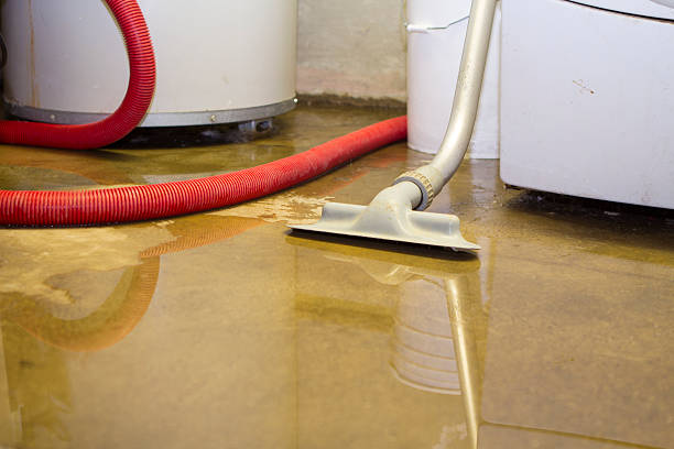 Best Flooded house restoration  in Newberry, FL