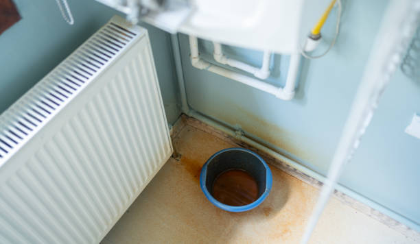 Best Basement water damage restoration  in Newberry, FL