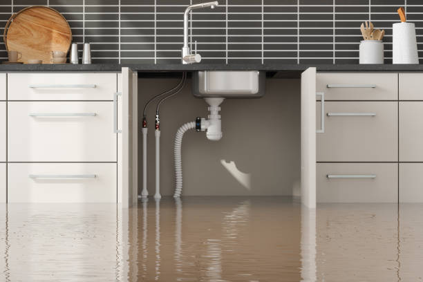 Best Professional water damage repair  in Newberry, FL