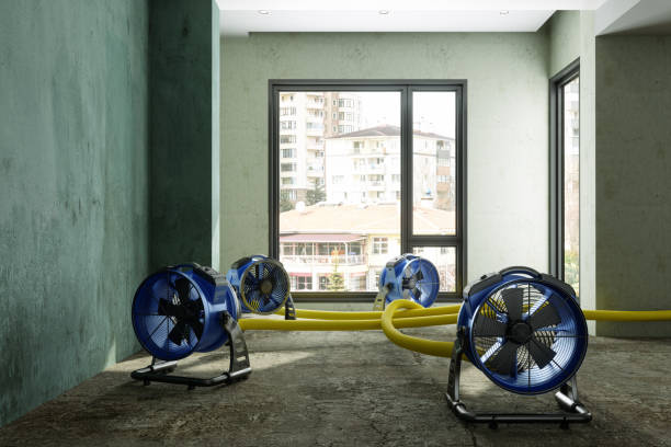 Best Residential water damage restoration  in Newberry, FL