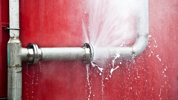 Best Water damage cleanup near me  in Newberry, FL